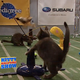 The Bissell Kitty Halftime Show Was an Acid Trip of Kitty